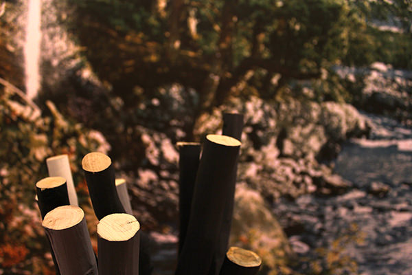 sticks4